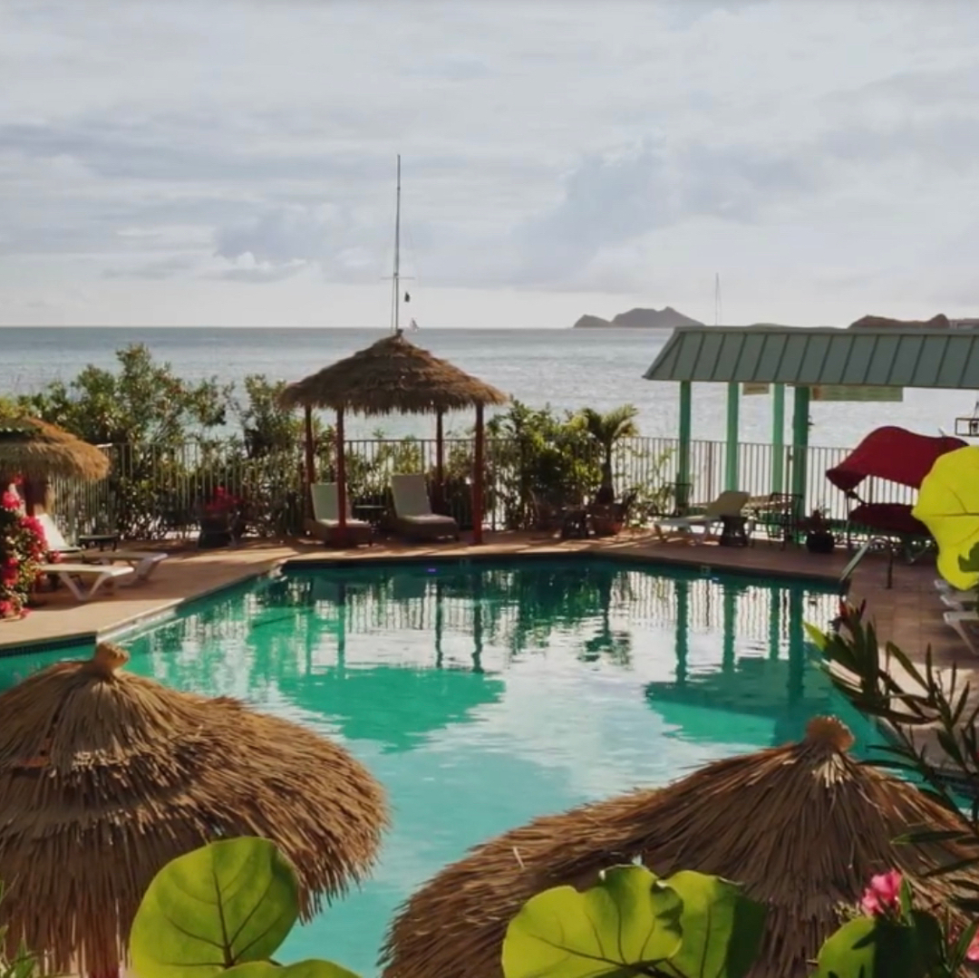 It’s looking like a pool day! 
.
.
.
#usvi #virginislands #caribbean #beaches #island #travel #americasparadise  #stthomas #stjohn #emeraldbeachvi