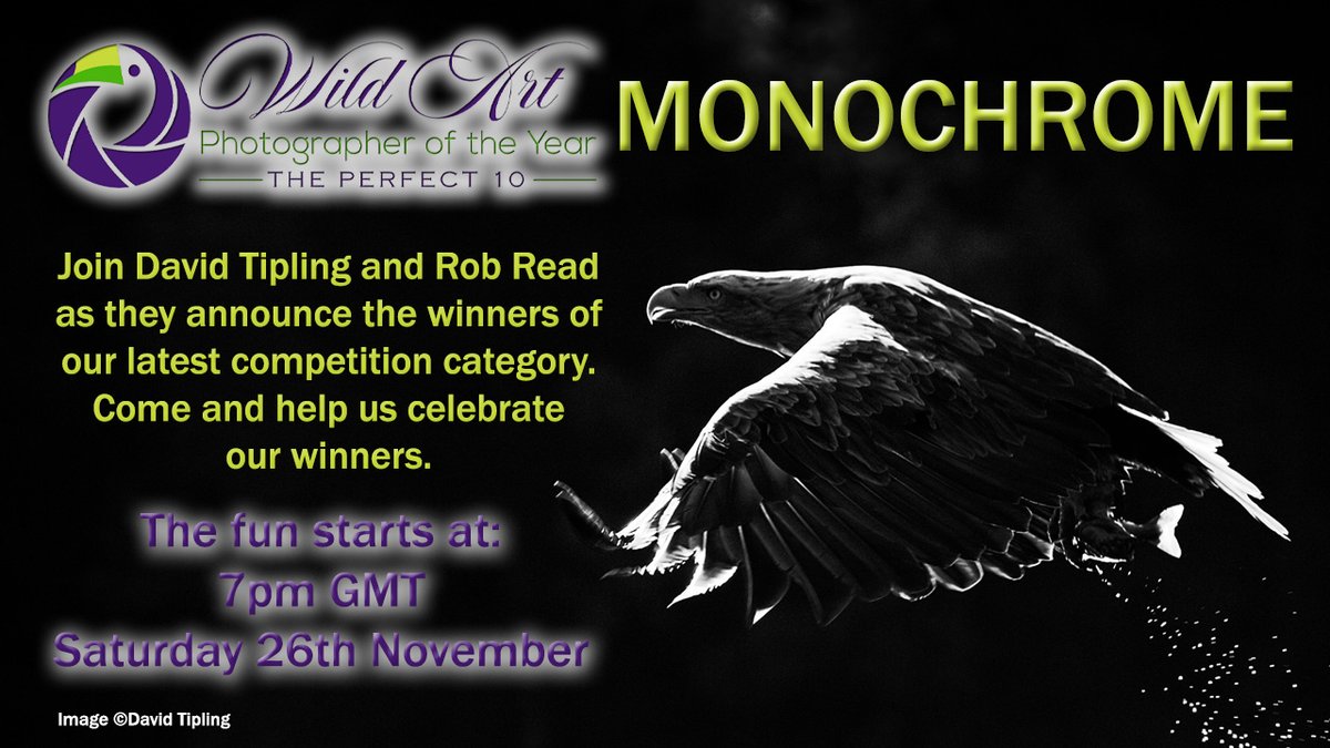 Please join us at 7pm GMT this evening for the announcement of our winners for Monochrome. It's sure to be an evening packed with great photography and chat. Drop by and say hello! Here's the link youtu.be/ItdlE5cEhMY @SwarovskiOptik @OMSYSTEMcameras @fstopHQ @Cotton_Carrier