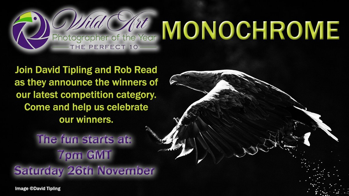 WildArt Photographer of the Year (@wildartpoty) on Twitter photo Please join us at 7pm GMT this evening for the announcement of our winners for Monochrome. It's sure to be an evening packed with great photography and chat. Drop by and say hello! Here's the link youtu.be/ItdlE5cEhMY <a href="/SwarovskiOptik/">SWAROVSKI OPTIK</a> <a href="/OMSYSTEMcameras/">OM SYSTEM Cameras</a> <a href="/fstopHQ/">f-stop | Photography</a> <a href="/Cotton_Carrier/">Cotton Carrier</a> Please join us at 7pm GMT this evening for the announcement of our winners for Monochrome. It's sure to be an evening packed with great photography and chat. Drop by and say hello! Here's the link youtu.be/ItdlE5cEhMY <a href="/SwarovskiOptik/">SWAROVSKI OPTIK</a> <a href="/OMSYSTEMcameras/">OM SYSTEM Cameras</a> <a href="/fstopHQ/">f-stop | Photography</a> <a href="/Cotton_Carrier/">Cotton Carrier</a>
