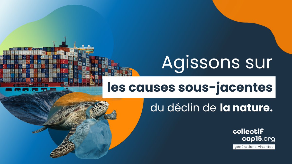 La #biodiversité est en crise à cause de nos systèmes politiques, économiques et sociaux. Nous devons opérer des transformations majeures dans nos sociétés et intégrer la protection de la #nature comme valeur fondamentale! 👉collectifcop15.org
#GénérationsVivantes #COP15