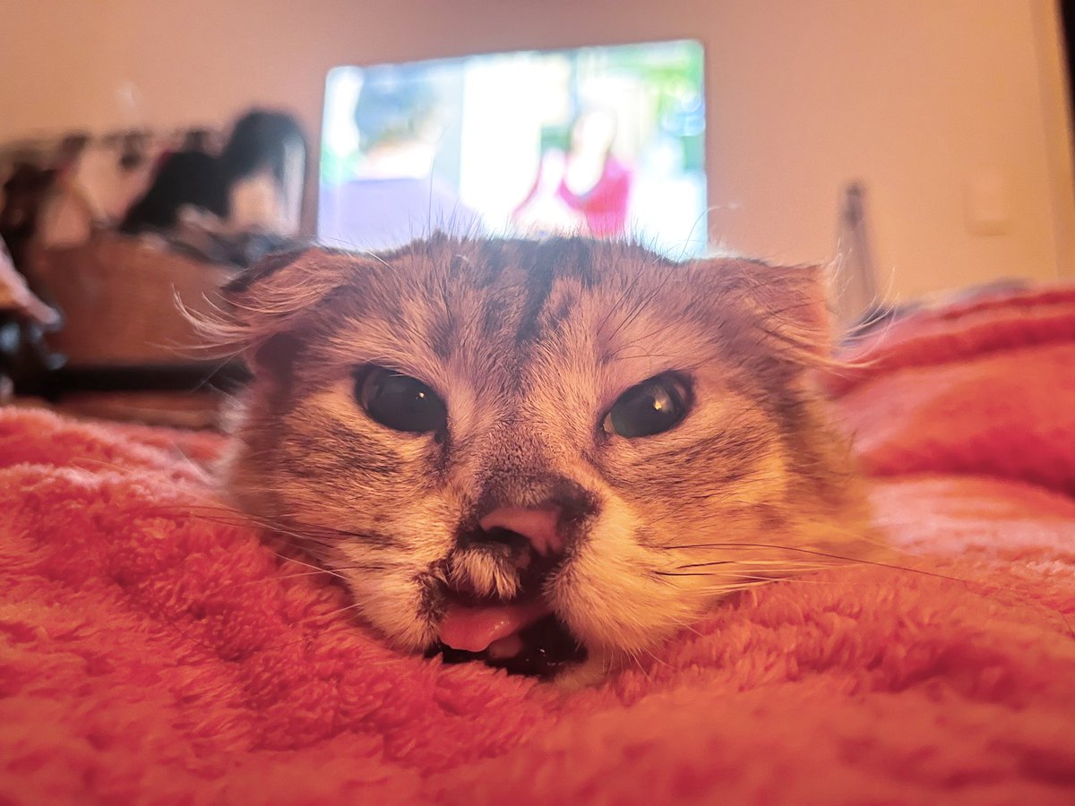 She’s watching me. I’m watching #wednesdaynetflix