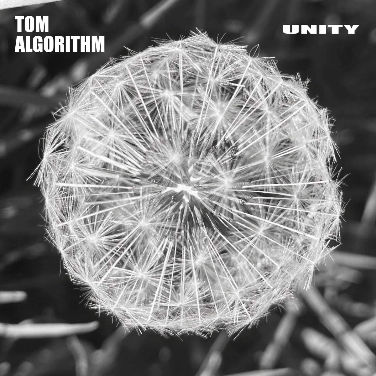 TomAlgorithm's tweet photo. New single out now , listen everywhere or download for free via the website. https://t.co/hidtXoQkRd           #progressive #house #melodic #techno https://t.co/leaD8hdcmf