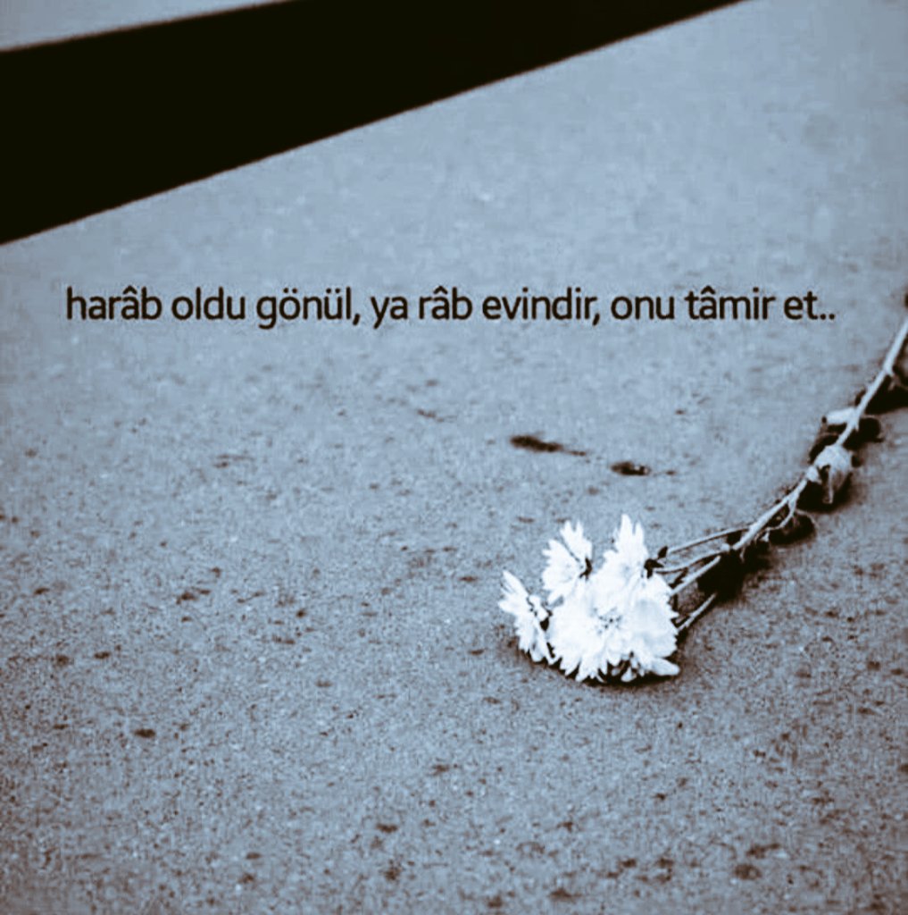 SvmKuzu's tweet photo. Az sevme bilmiyorum ben, Çok sevdiğimdendir bu kadar incinmem ..
#incinme #iyihaftasonu #CUMARTESİ #coksevmeler #huzur #sevgi #tevekkül #gönül #kalpkırmamak #bikahve #derinsohbet https://t.co/VdeBlgnvRW