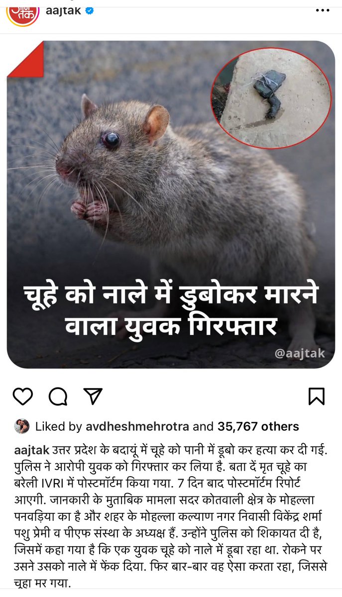 Abhishek_RND's tweet photo. आज की दो खबरें
त्यागी भाई के हत्यारे का कोई सुराग नहीं और चूहें की हत्या में गिरफ़्तारी .
वाह री सरकार
#Tyagicommunity #Shrikanttyagi
@aajtak @TanseemHaider https://t.co/CCFUms0az1