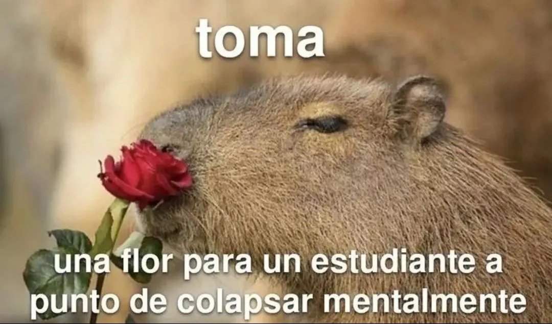 Frases Barbie (@barbie_context) on Twitter photo 