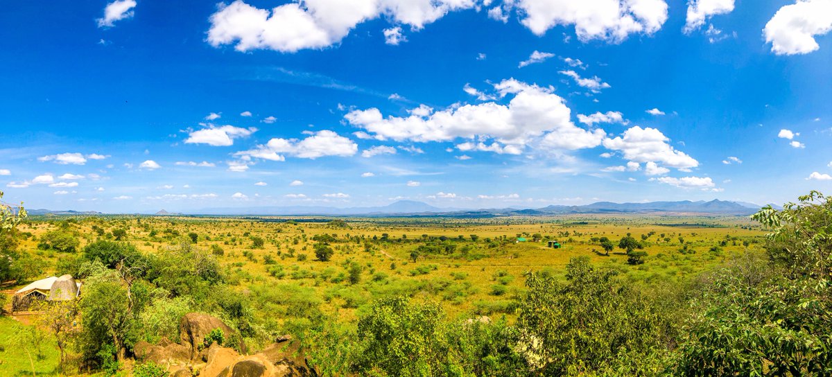 Kidepo is simply the paradise of Uganda. 

#Exploreuganda #travelling #Tbt #fun #photo #PhotoOfTheDay #kideponationalpark