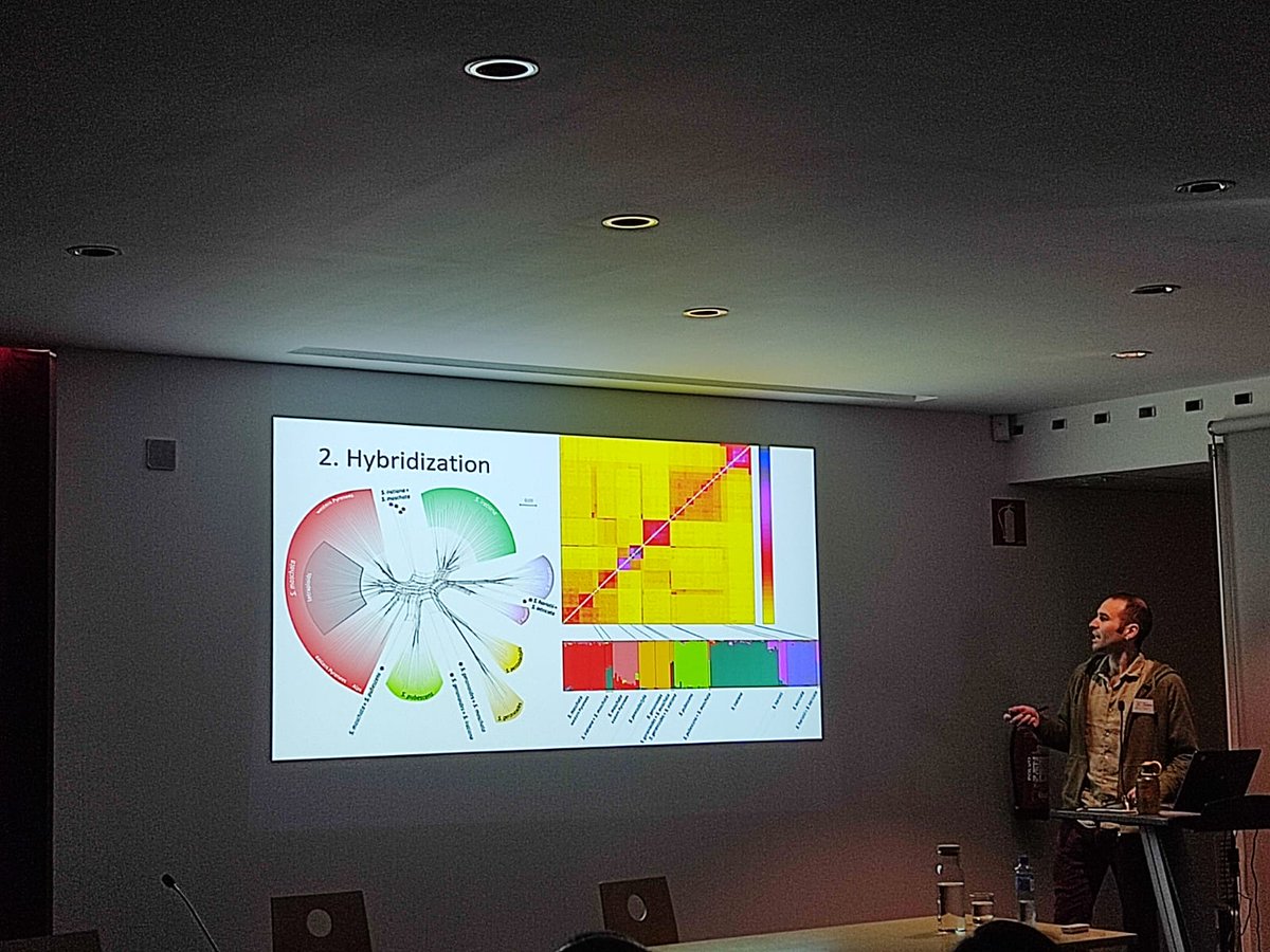 IBB_botanic's tweet photo. Última charla de la mañana de Pau Carnicero @CarniceroPau de la University of Innsbruck sobre diferentes estudios sobre filogeografía y refugios glaciares en la flora pirenaica de alta montaña
#IIISimBot https://t.co/6xvpUhEQoQ