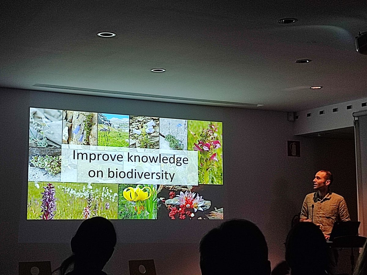 IBB_botanic's tweet photo. Última charla de la mañana de Pau Carnicero @CarniceroPau de la University of Innsbruck sobre diferentes estudios sobre filogeografía y refugios glaciares en la flora pirenaica de alta montaña
#IIISimBot https://t.co/6xvpUhEQoQ