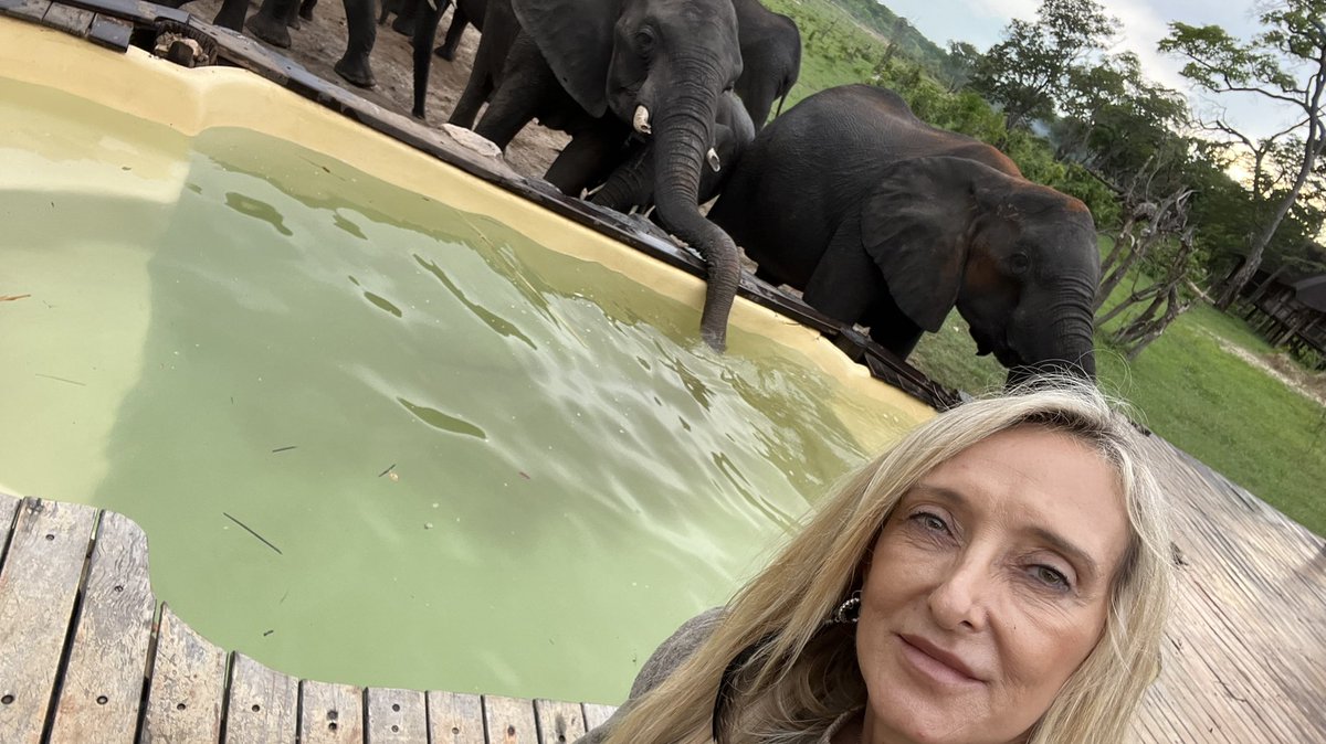 Checking into Khulu Bush Camp #hwangenationalpark #elephants