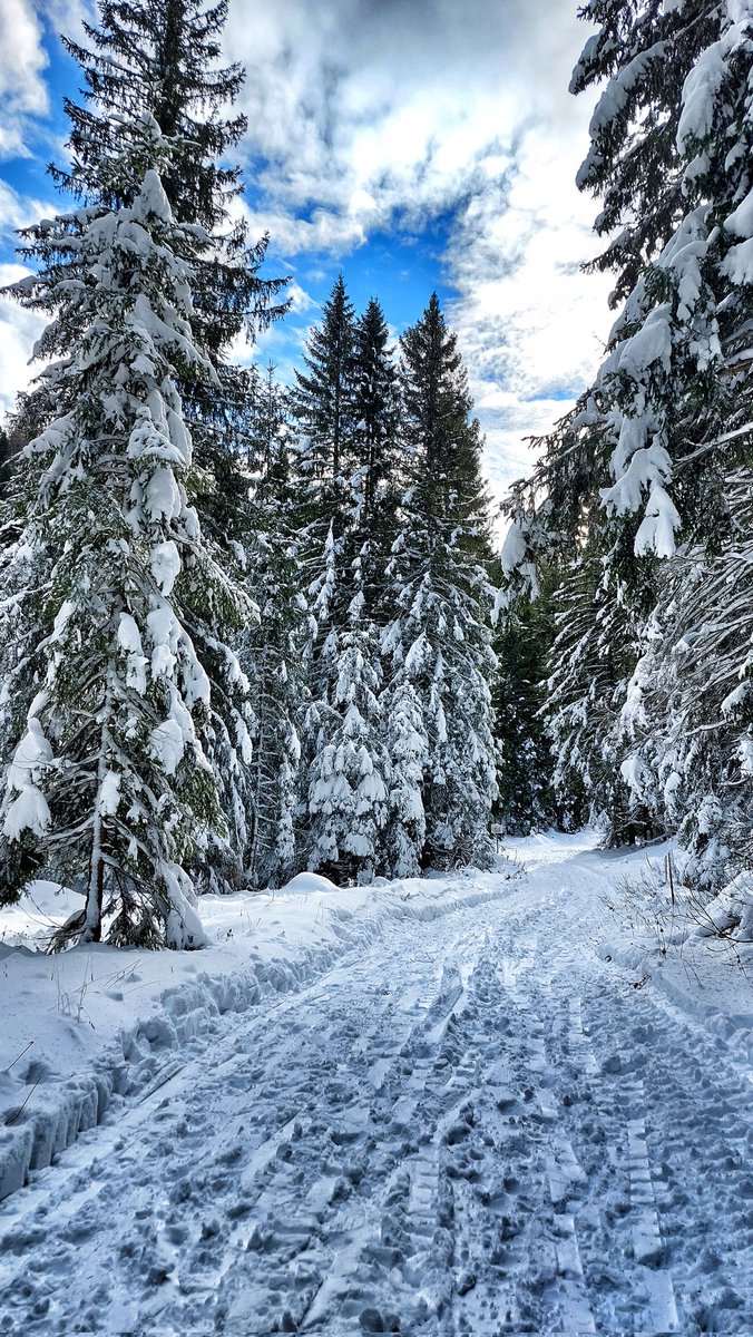 pizzo_76's tweet photo. Hello winter
#asiago #settecomuni #Vicenza #ciaspole https://t.co/U8bCsDATTU