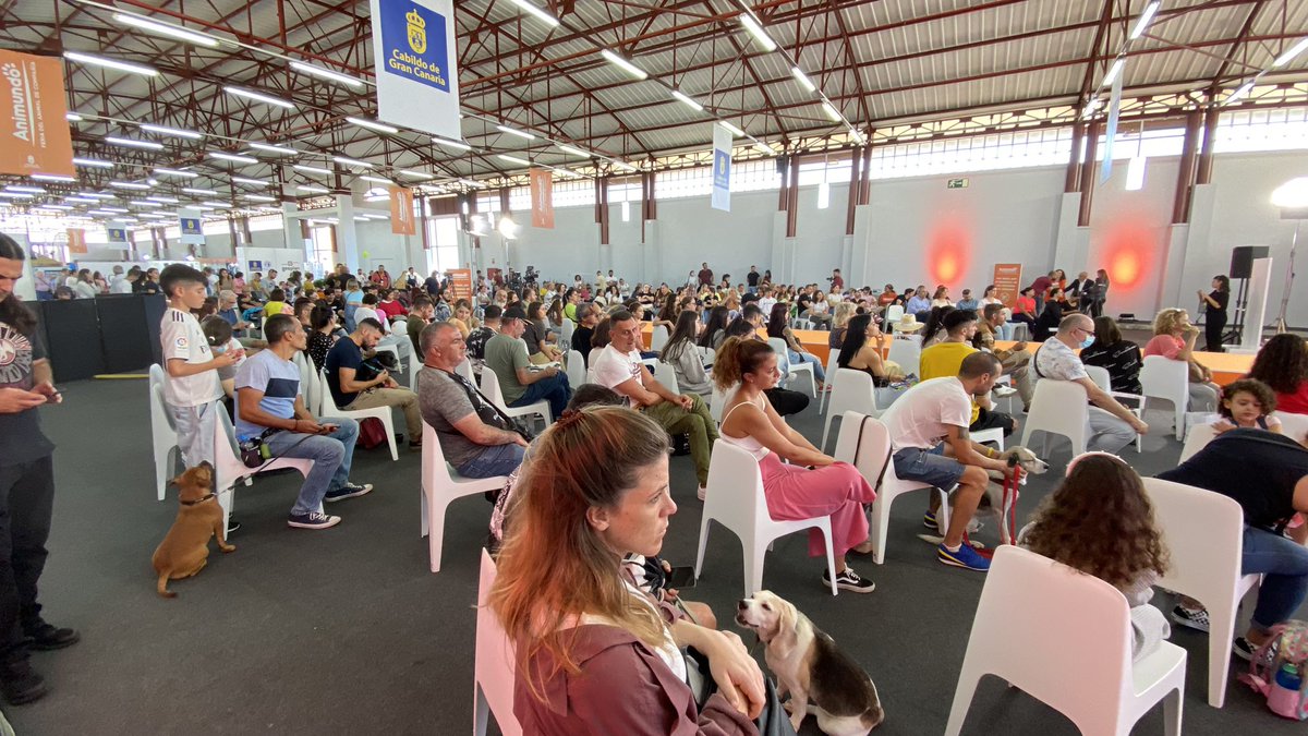 infecar's tweet image. Preciosas imágenes de nuestros amigos peludos y del ambiente de #Animundo 🐶🐱, ¿te vienes?