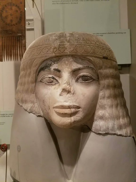 3,000-year-old Egyptian statue head of a woman,  New Kingdom, limestone, Field Museum of Natural History, Chicago (31713)

[source: buff.ly/3GNaU8b]