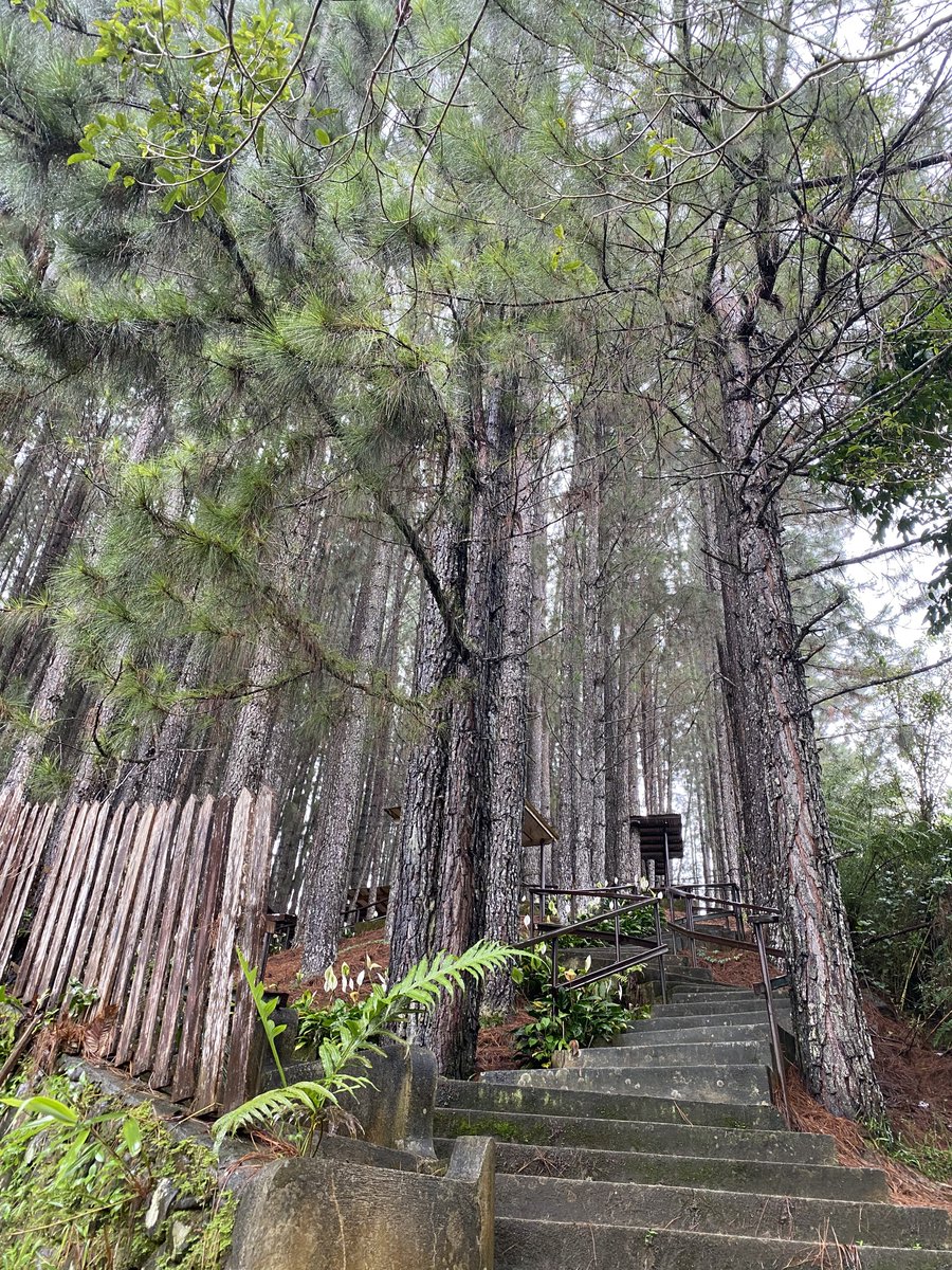 brzlm_'s tweet photo. π Dahilayan Forest Park
Elijah Riley x Klareey π€π€
Until Trilogy by Jonaxx
I love you always my favorite baby!!! β‘ #Untilhewasgone #Untilhereturned #UntilForever #montefalcoseries #jonaxxstorieslovers https://t.co/XNFFytBEr1