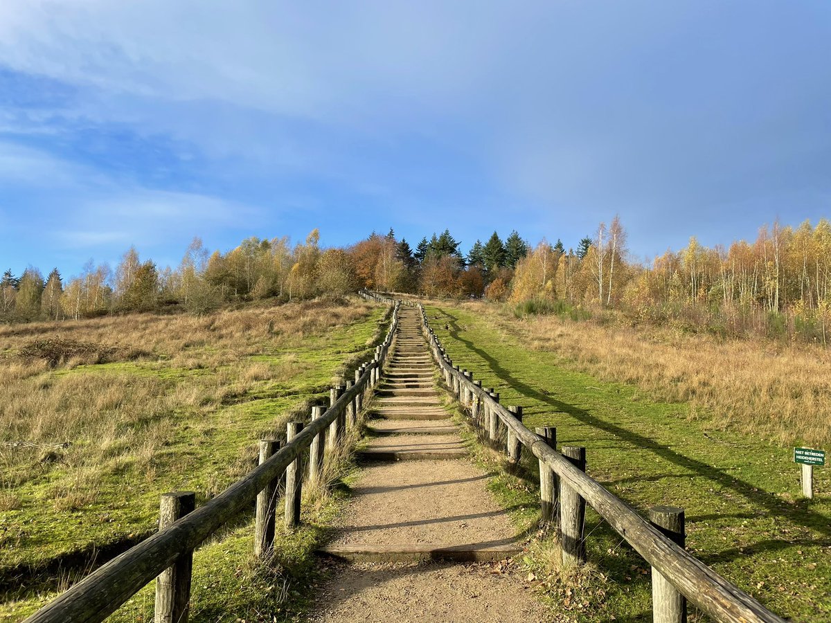 DriesEden's tweet photo. Goed #weekend allemaal #kwintelooyen #9gr #herfst #Natuur #Nederland #Netherlands #Dutch #Rhenen #Veenendaal https://t.co/SoOGXKd9sW