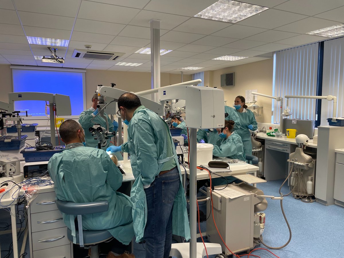ICENICentre's tweet photo. Saturday morning session in full swing on @ICENICentre cadaveric skull course - 1st class #surgicaltraining with excellent faculty @Team_ESNEFT @SachinENT33 @KumarENT_LONDON @AShoakazemi
#ENT #ENTtraining #ESNEFT #medical #medicaltraining #Colchester #Ipswich https://t.co/uU2nRYMSXo