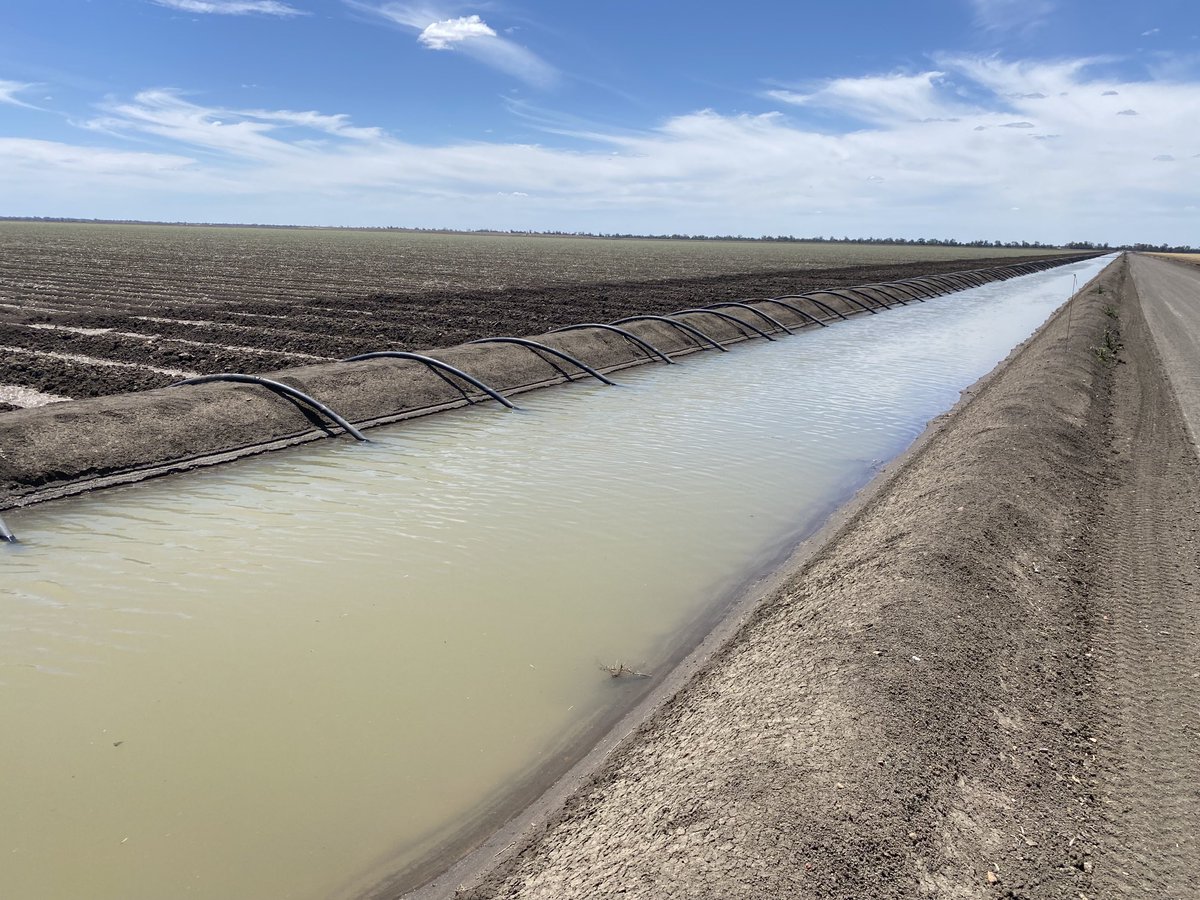 Moree - Narrabri (NSW). 🌏
First days of my Nuffield travel in Australia.
Cotton is king - Wheat - Sorghum - chickpea - barley.🌱
Farm very efficient!🤓
I met peoples fantastic!🙏
Thanks all for their time in busy period!