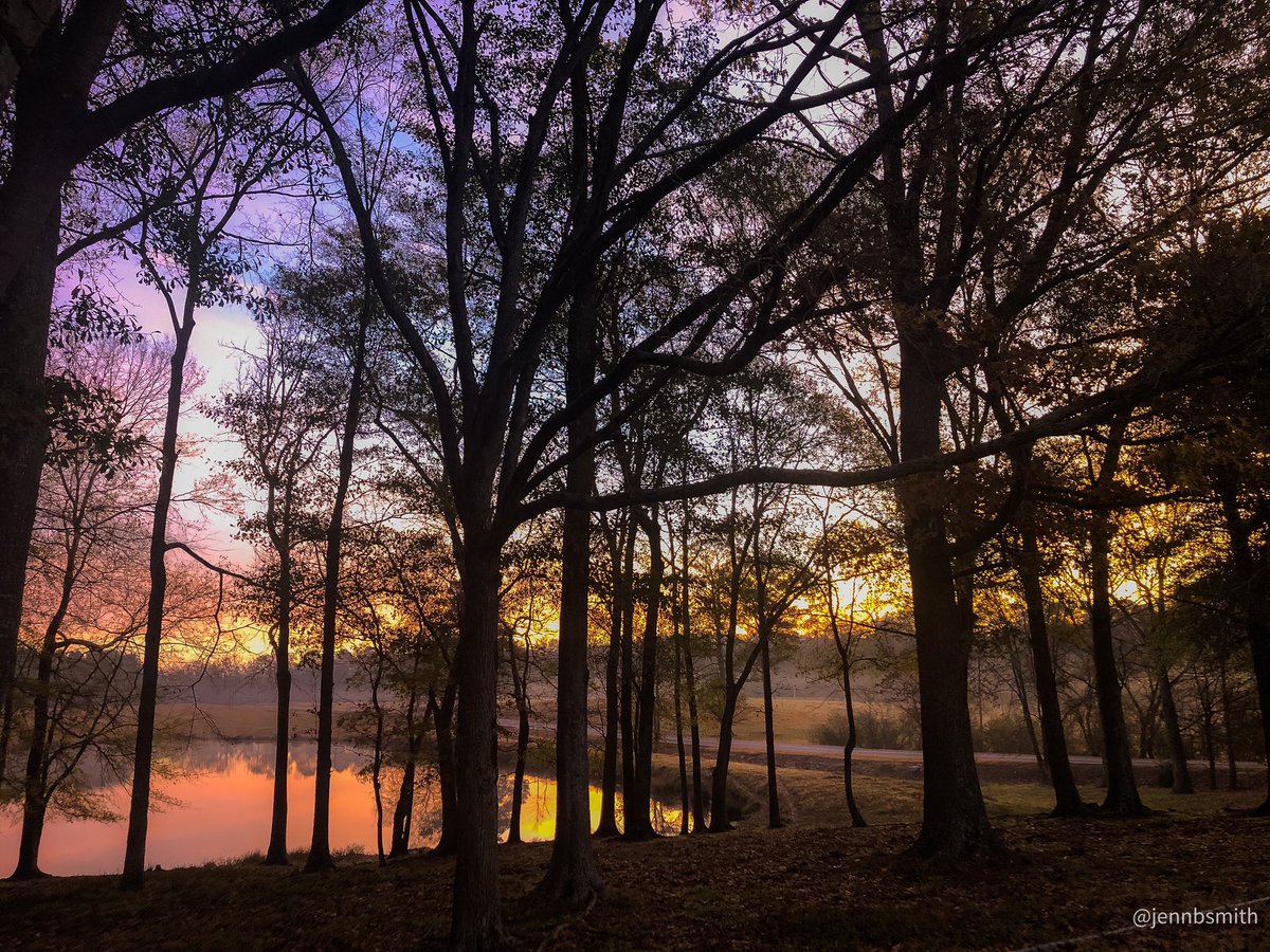 Good morning! @RyanBeesleyFox5 #gawx #farmlifebestlife