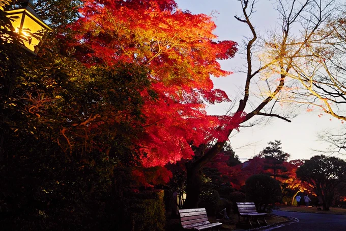 秋の村とても綺麗でした紅葉はこの土日で見納めかな 