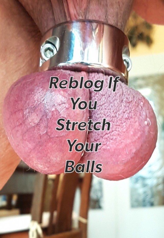 Stretch n Huff🔞🇬🇧🏳️‍🌈 (@stretchedbrit) on Twitter photo 