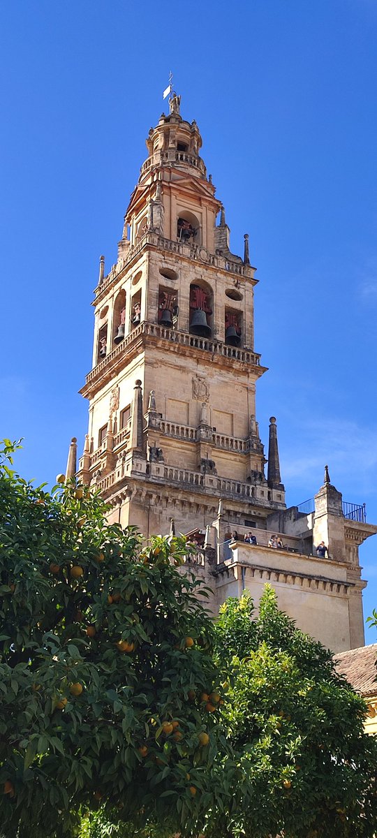 Felipe Ortega tweet media