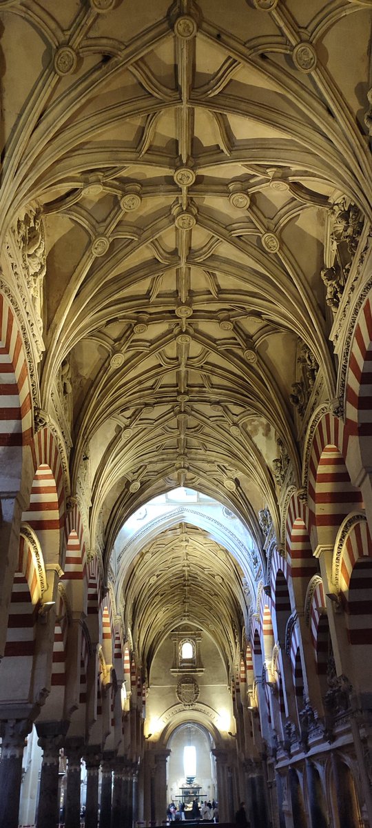 Wonderful visit to Cordoba for #XIIJRes . Many thanks to <a href="/jdieramon/">Jose V. Die</a>, <a href="/emilopezcano/">Emilio L. Cano</a>, <a href="/joscani/">Jose Luis Cañadas</a> and the rest of the organisation team and <a href="/R_Hisp/">Comunidad R Hispano</a> board!