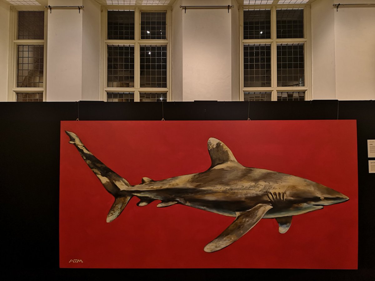 ATMstreetart's tweet photo. It's an honour to have my Oceanic White Tip #shark in the @SharkTrustUK #Oceanic31 exhibition at @RGS_IBG in celebration of their 25 years and launch of their new campaign #bigsharkpledge
Please support and sign here https://t.co/72oqHXwo1X https://t.co/tQNowiLCrq