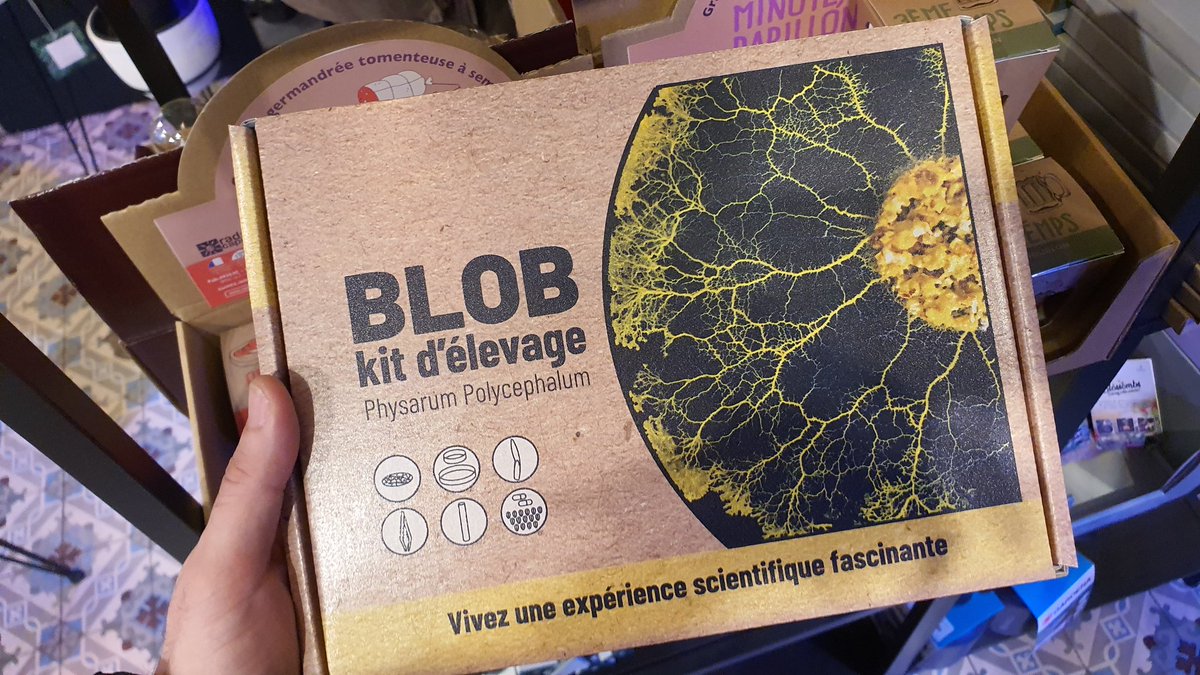 Que vendan kits para criar Blob en casa me parece maravilloso 😍