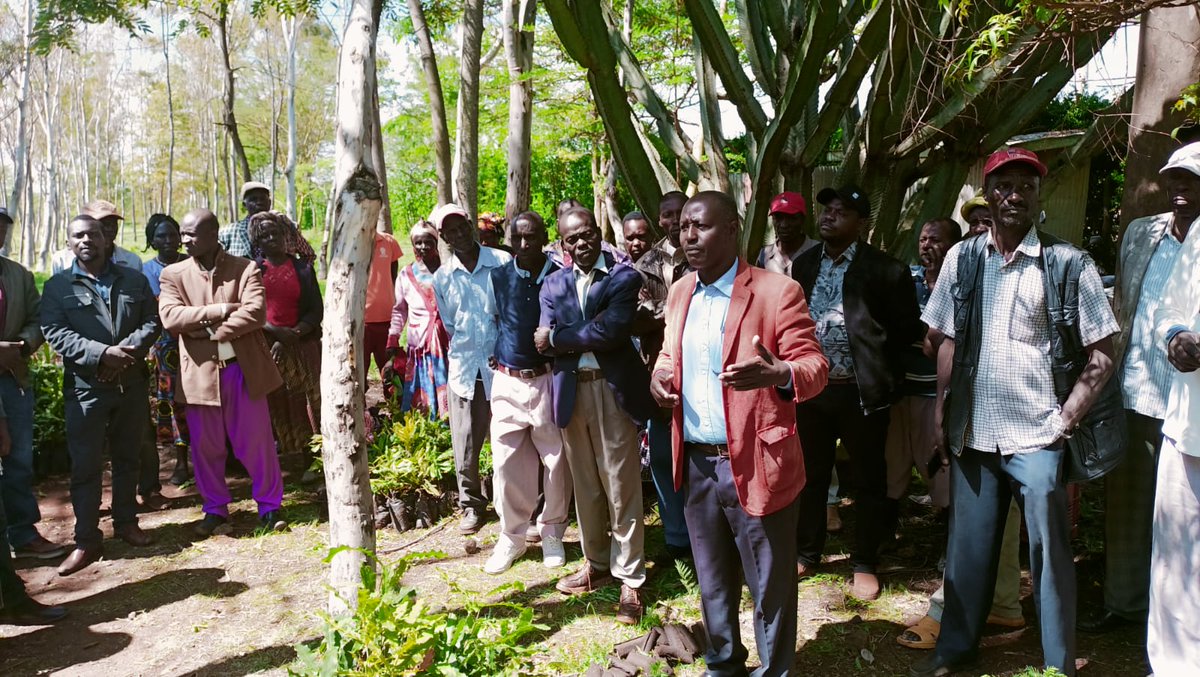 JNjeri254's tweet image. Active research and extensive consulations to map and tap into priority areas for youth empowerment and development
#5BTREESKE
#Trees4future
#Sustainability
#TreeInAction
#PACJA
#Sustainability