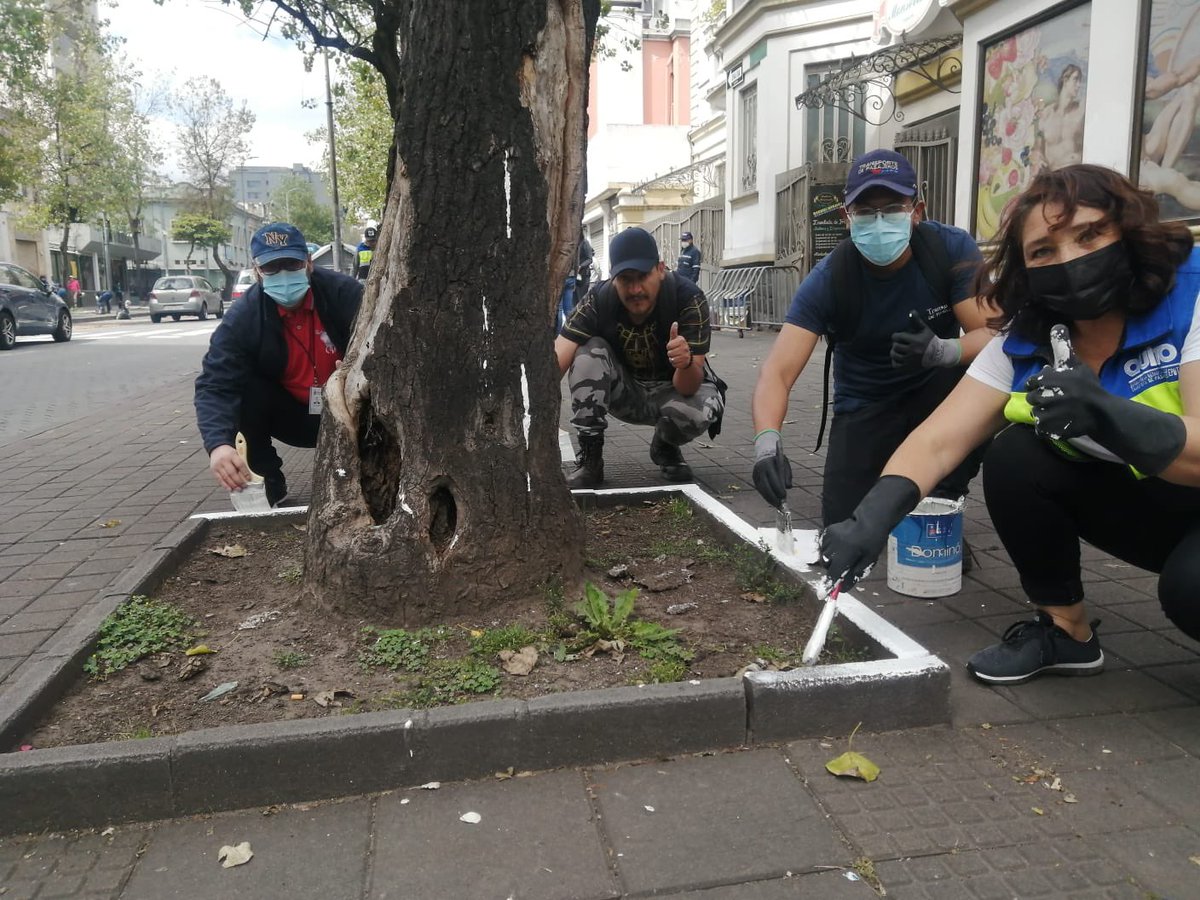 PasajerosQuito's tweet photo. #MingaDeLaQuiteñidad 

¡Todos tenemos el compromiso de embellecer a nuestra ciudad!

#VivaQuito2022 
#QuitoSeMueveContigo 
# https://t.co/9DhkVkXtHS