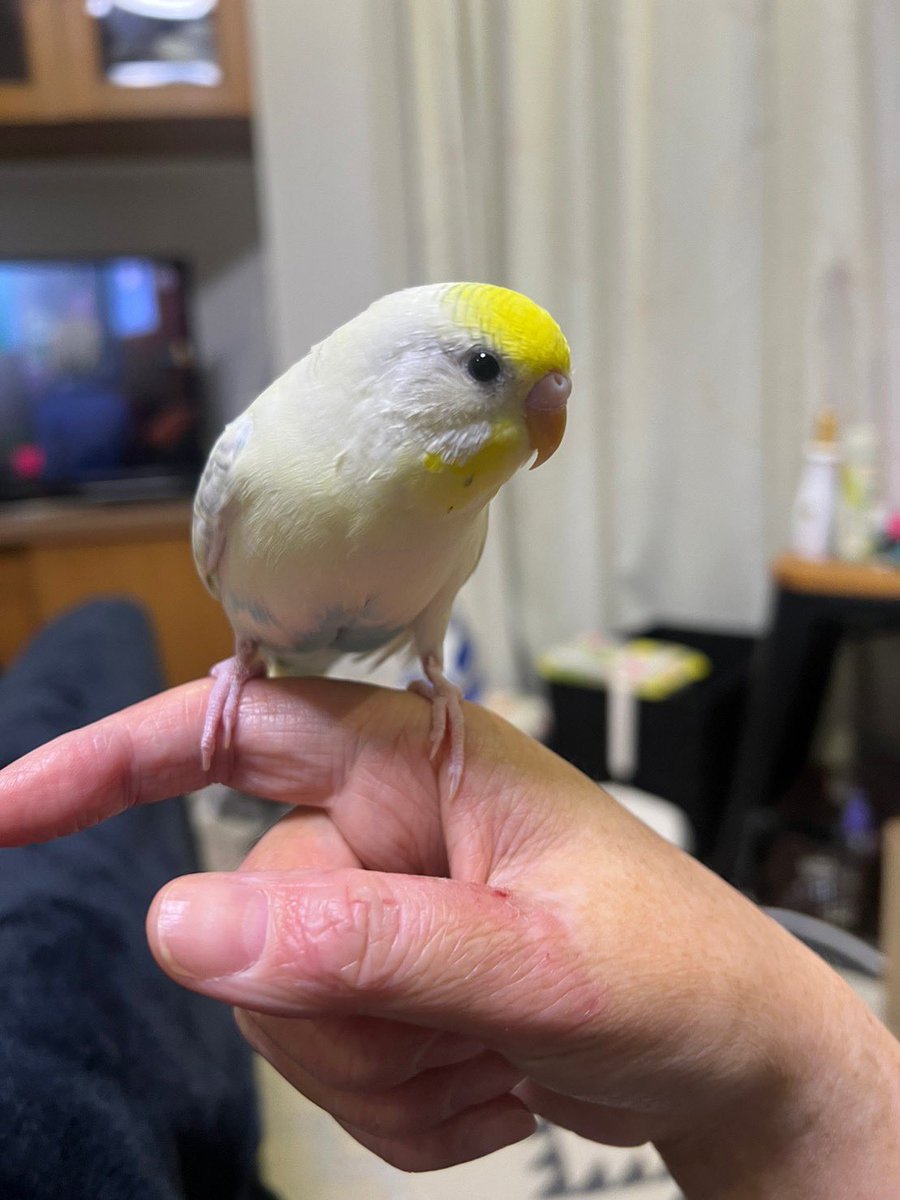 ハルク ロケ地 撮影秘話 最新情報まとめ みんなの評価 レビューが見れる ナウティスモーション