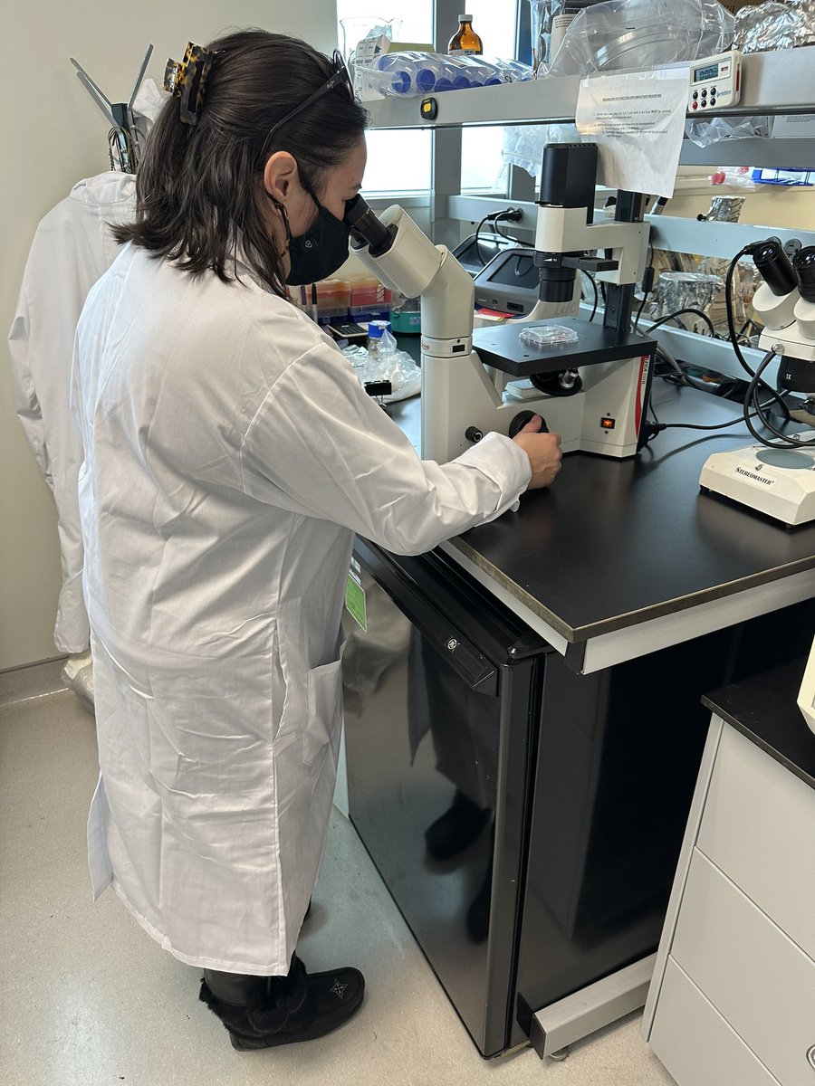 Tammy Moore (@temeritytm) on Twitter photo The <a href="/ALSCanada/">ALS Canada</a> Board Members visited Dr @JanuceRobertson’s lab at <a href="/UofT/">University of Toronto</a> Tanz Centre this week. Fantastic opportunity to learn about the research <a href="/ALSCanada/">ALS Canada</a> has funded and to meet the talented researchers behind the work. Thank you! #dedication #inspiration #AFutureWithoutALS The <a href="/ALSCanada/">ALS Canada</a> Board Members visited Dr @JanuceRobertson’s lab at <a href="/UofT/">University of Toronto</a> Tanz Centre this week. Fantastic opportunity to learn about the research <a href="/ALSCanada/">ALS Canada</a> has funded and to meet the talented researchers behind the work. Thank you! #dedication #inspiration #AFutureWithoutALS