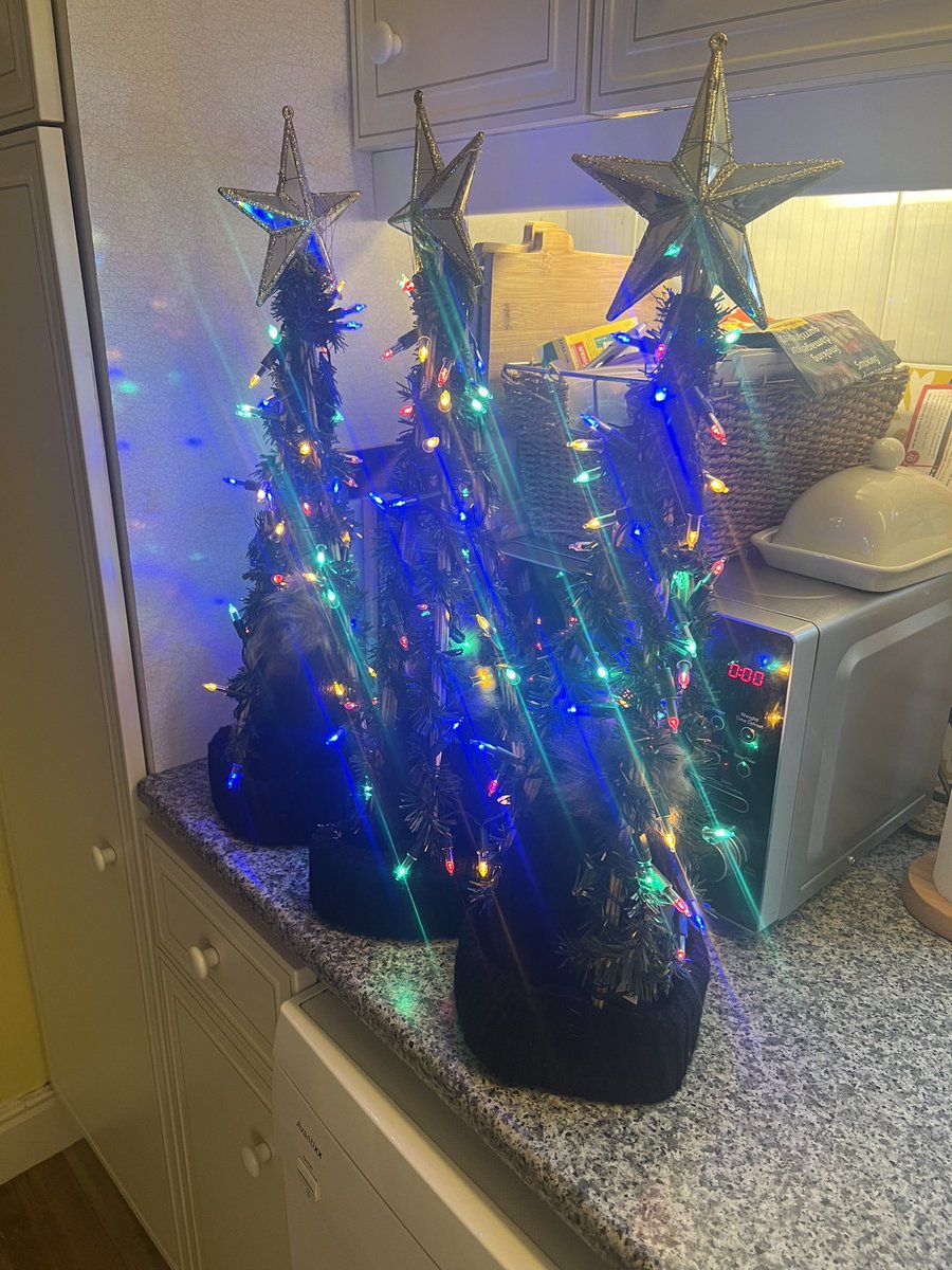 Abigail Yardimci tweet media