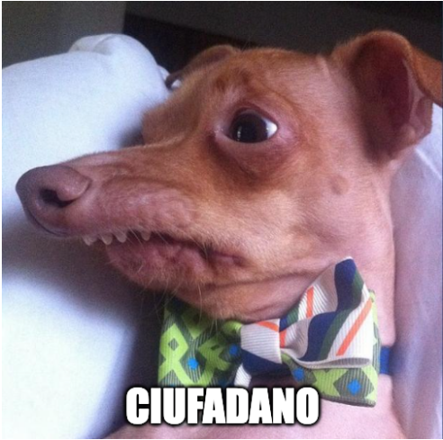 Maria J. Verdugo 🌳 tweet media