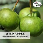 Photo by FairWild Foundation (@fairwild)
