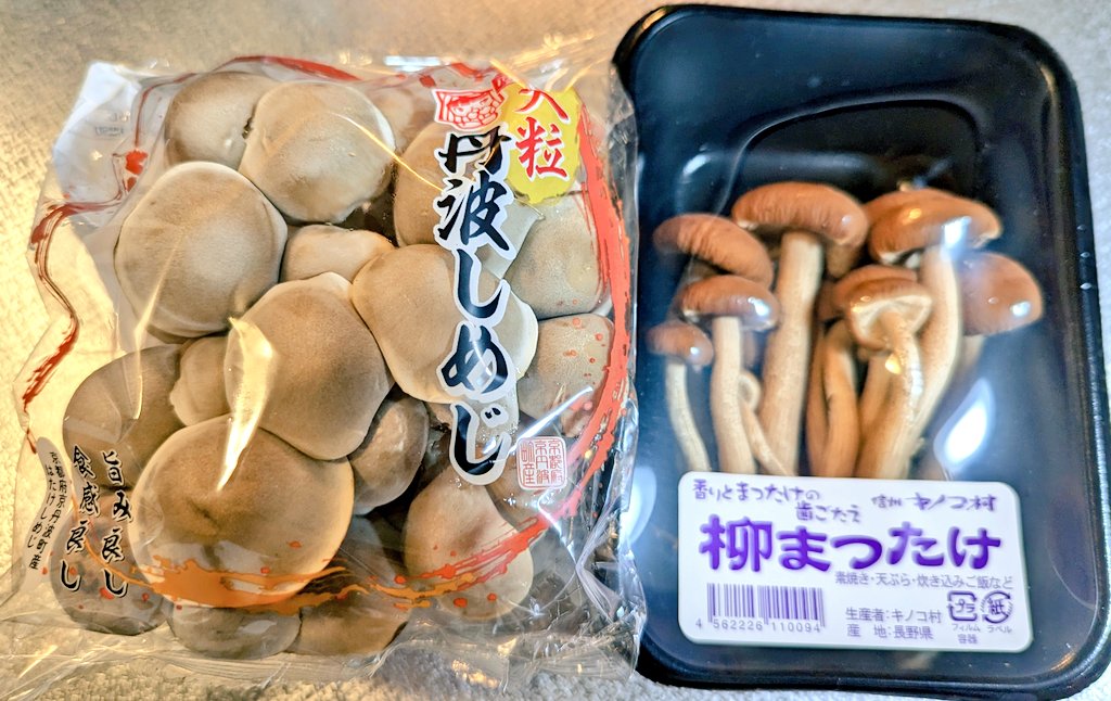 イカれたキノコを紹介するぜ！ ジャンボマッシュルーム（ブラウン