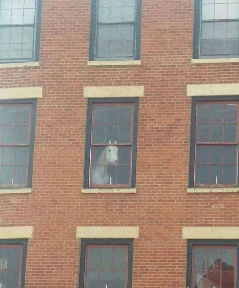 👰🏾 : Motèl Mari African Gospel Choir For The Sisterhood Of Displaced Brides &amp; Other Magical Beings 🦄 
Will Be Playing Live At #SmokingKillsBar In JHB 🇿🇦 Tonight - Don’t Morose Yourself O !