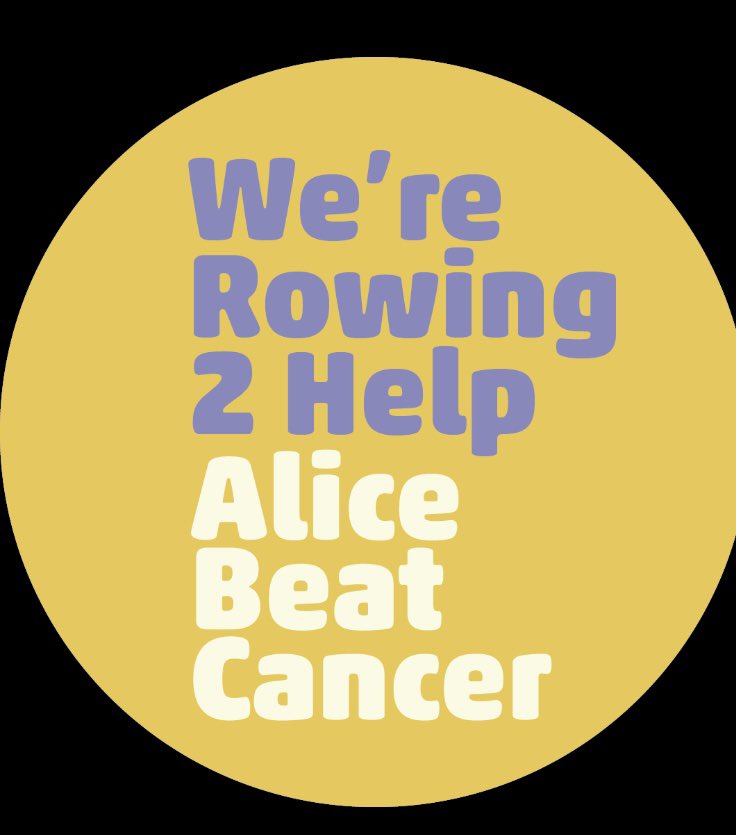 Dalkey Rowing Club tweet media