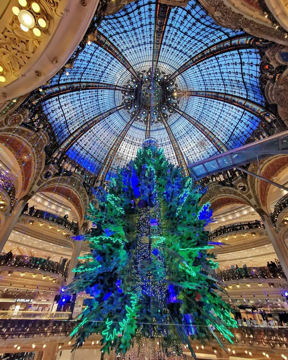 llm_s's tweet photo. Le sapin de Noël 2022 des Galeries Lafayette Haussmann🎄#Elato https://t.co/Y08wsYQdVt
