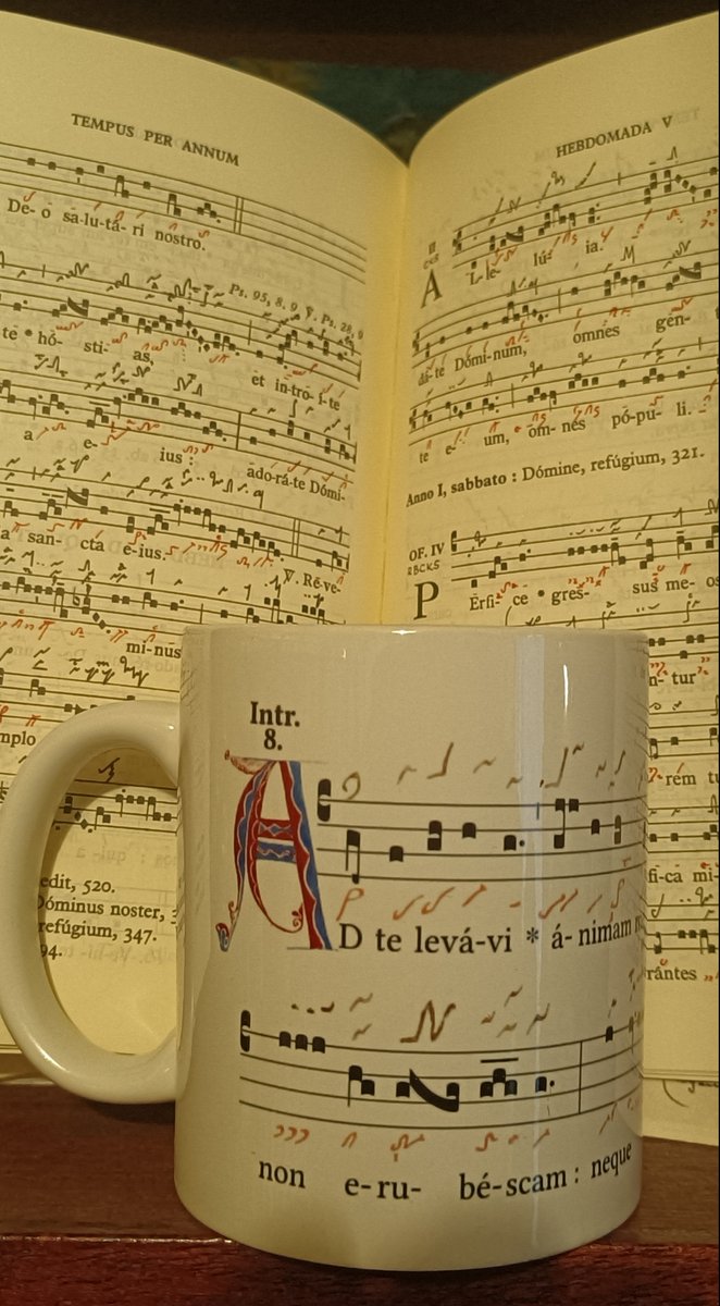 Take advantage of our Advent promotions!
-10% with promocode : NAT22
teezily.com/stores/histori…