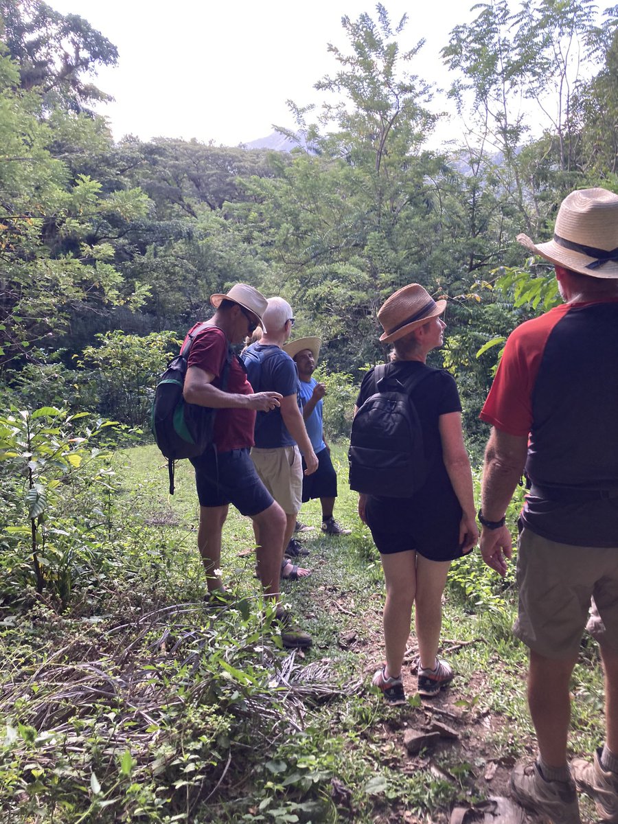 AnleyRosales's tweet photo. Walk through amazing nature in the Sierra Maestra, Granma, Cuba.
.
.
.
.
#cuba #nature #hiking #trail #lake #lakeview #river #green #mountains #sierramaestra #sierramaestracuba #bayamotravelagent #comandanciadelaplata #comandanciadelaplatatour #toureasterncuba https://t.co/o4eGh5OdvE