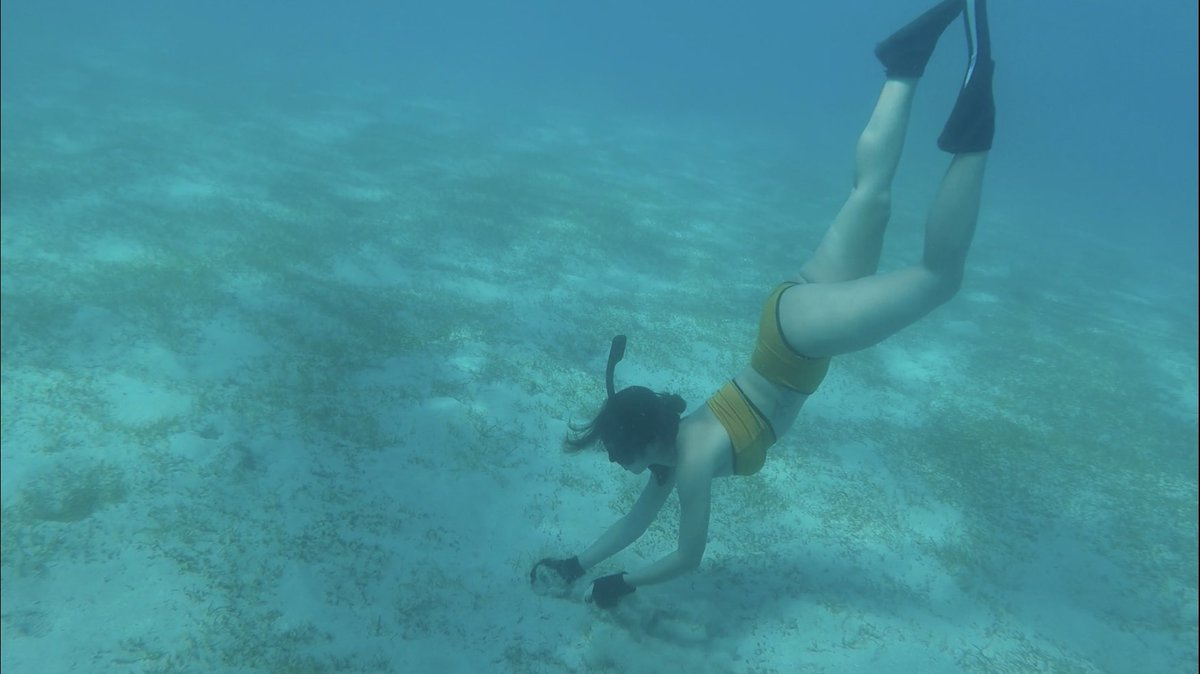 julsfrias's tweet photo. Cebu dive! 👌🏻 Will def be back for the ocean park dive #manifesting 💙 https://t.co/up6FBZD6Ub