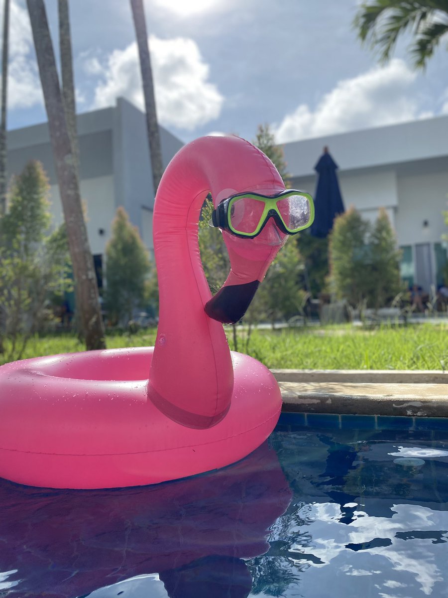 #pinkflamingo