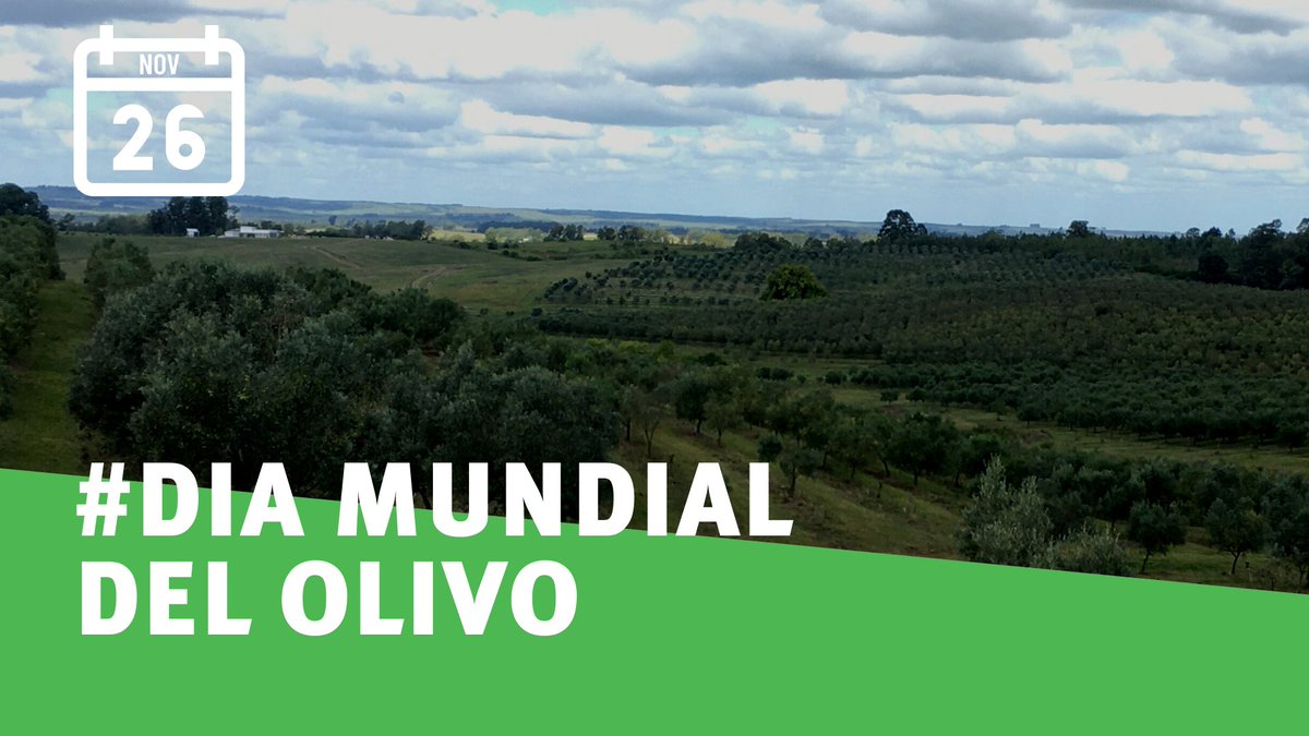 latitud_uy's tweet photo. ¿Te interesa conocer más sobre este proyecto de #LatitudUY y #ASOLUR sobre la valorización del #alperujo, el concentrado que se obtiene en el proceso de producción del aceite de oliva? Mirá este video en el que podrás conocer algunos resultados👇
https://t.co/i5PX3qvLi4 https://t.co/kjapStmPVj
