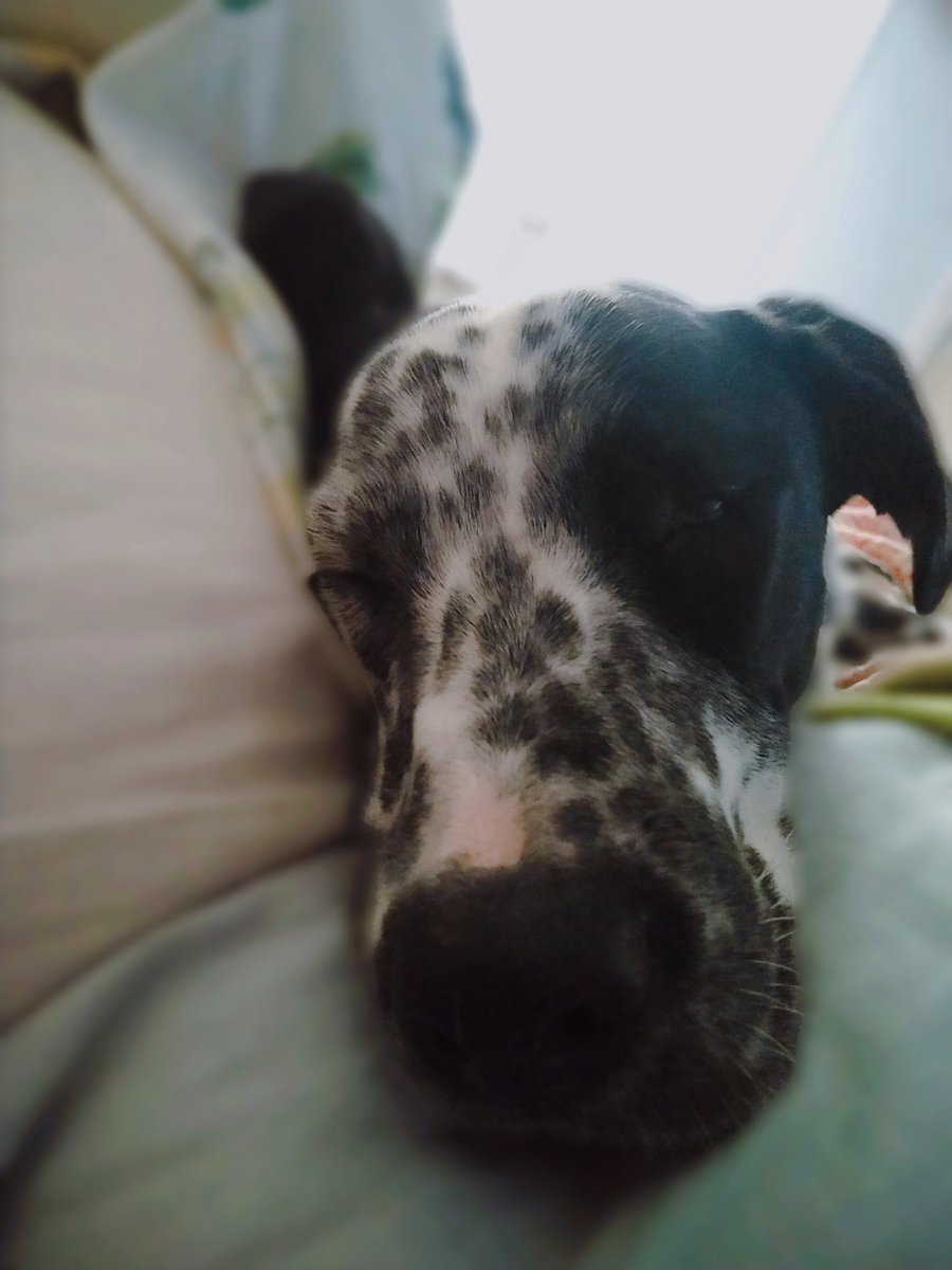 Jenn Pugh tweet media