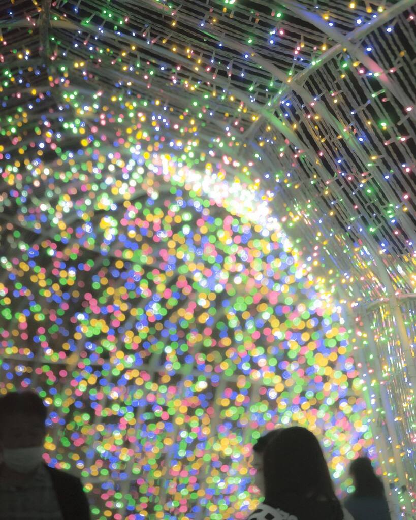 pre1011's tweet photo. 冬の香りで呑める時期到来！
・
・
・
#イルミネーション2022 #illumination #ファインダー越しの私の世界 #ファインダー越しの風景 #タオル美術館 #ehime #ehimejapan #pentax https://t.co/cyzRrGGQSZ