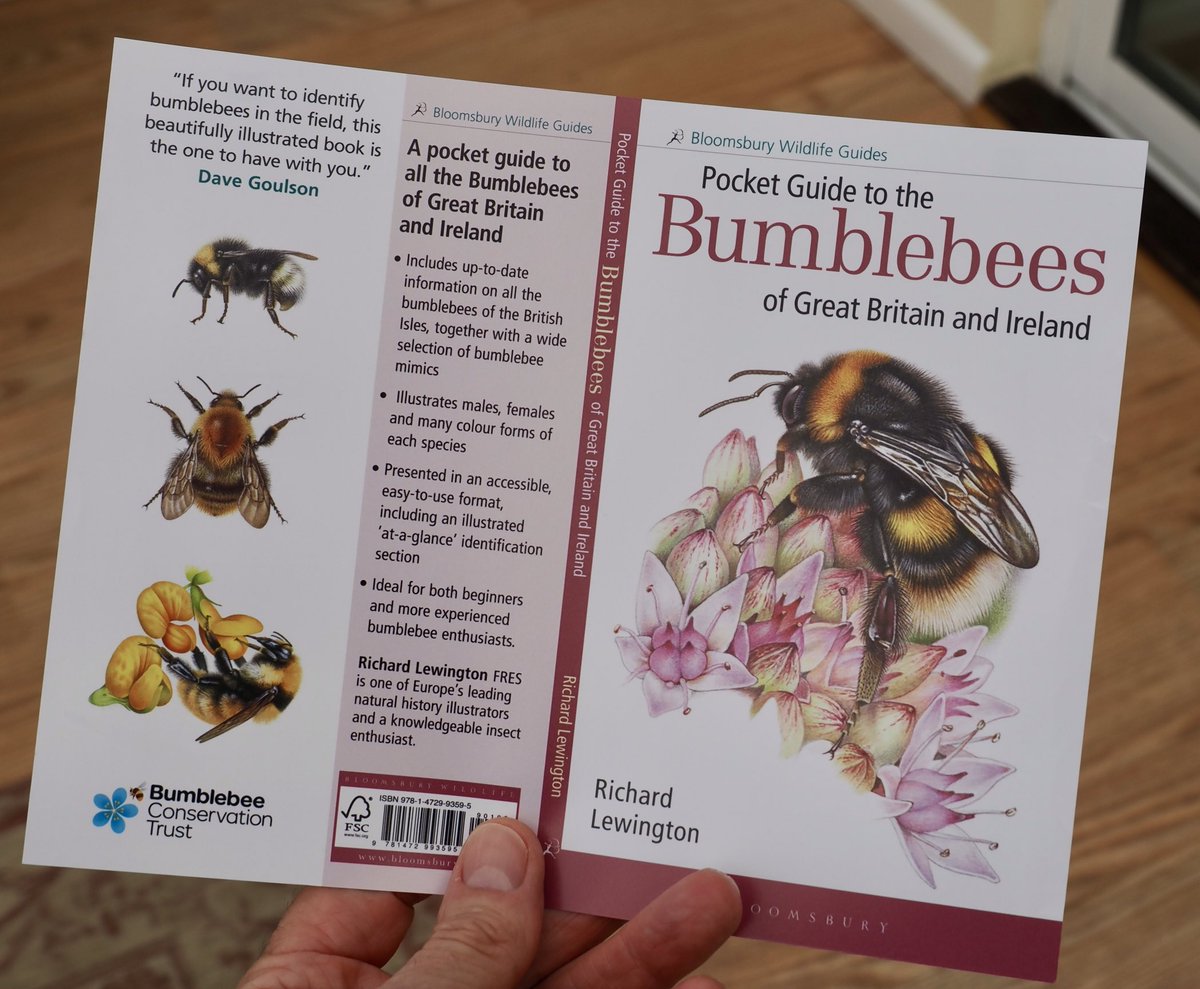rlewington2's tweet photo. Bumblebees - the cover design and proofs are done and an advance copy is due in a few weeks time. Publication date 2nd February 2023. https://t.co/PsOY0P6QyL