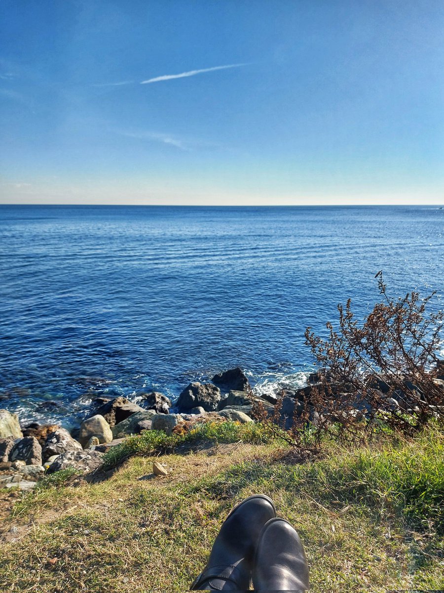 pandolfini's tweet photo. Questa è la mia pausa pranzo vista mare, Oggi servizi fotografici di interni ed esterni di tre piccole strutture turistiche, una più carina dell'altra. La giornata è ottima per prendere un'oretta di sole e relax ascoltando il mare. Cosa volere di piu? 💙 https://t.co/Fr0vb2SIQD