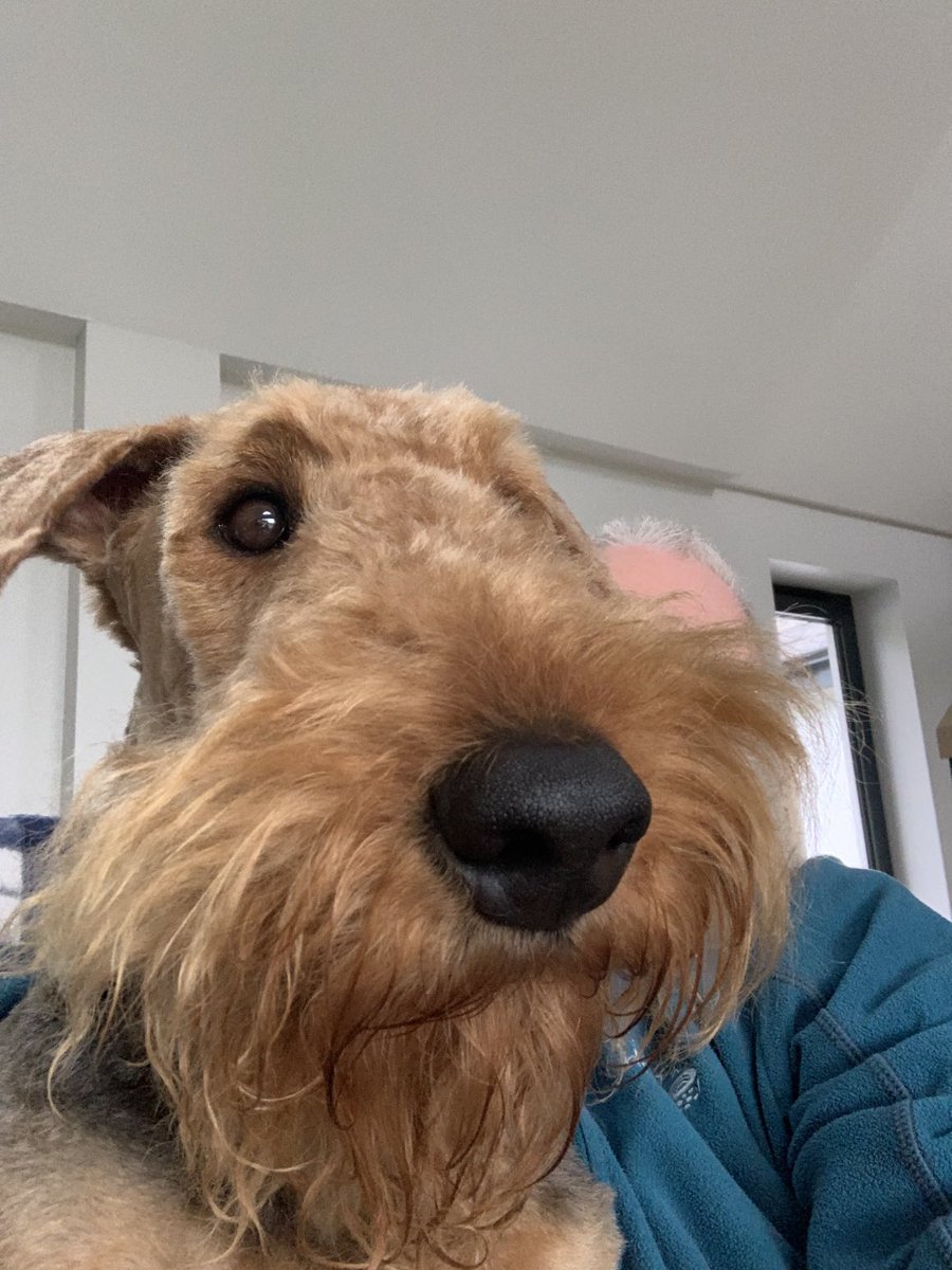 Selfie (wiv Hoodad)