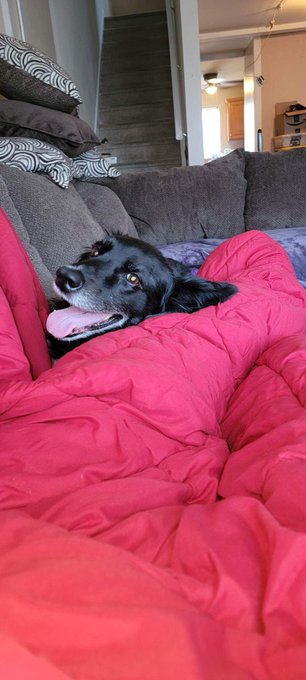 I'm so happy 👉👈 https://t.co/nPo76DSqeG<a href="/tag/goddess"class="tags"><span>#goddess</span></a><a href="/tag/sexworker"class="tags"><span>#sexworker</span></a><a href="/tag/spoilme"class="tags"><span>#spoilme</span></a><a href="/tag/nudes"class="tags"><span>#nudes</span></a><a href="/tag/sw"class="tags"><span>#sw</span></a><a href="/tag/buymycontent"class="tags"><span>#buymycontent</span></a>