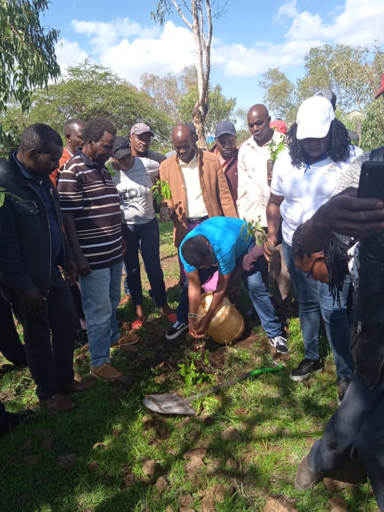 Manuh_Mmoja's tweet image. Leading by example @mithika_mwenda the ED @PACJA1 planting a tree #Trees4Future #5BTREESKE @Environment_Ke @KeForestService #PACJA